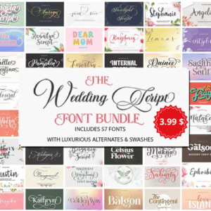 Home elegant wedding script font collection